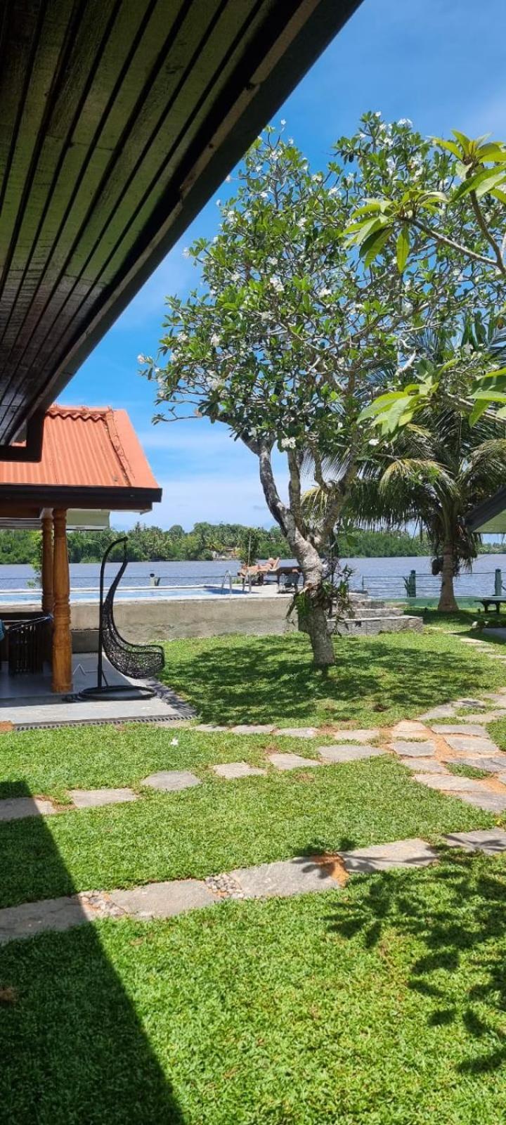 Villa Lausanne Dharga Town Ngoại thất bức ảnh